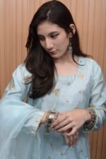 Light Sky Blue Katan Silk Embroidered Shalwar Kameez with Organza Dupatta - Image 3