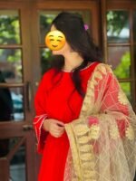 red muticolour Sharaara with Golden embroidery Duptta - Image 4